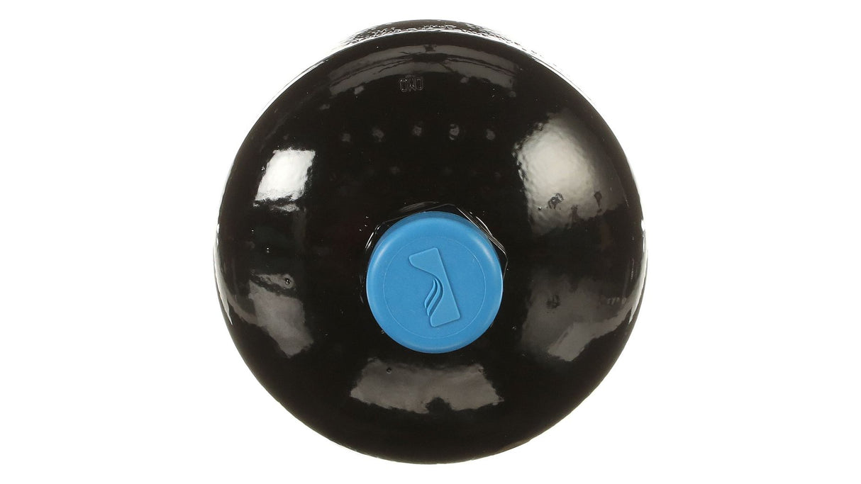 New Holland / Case DRUCKSPEICHER 87314179 original CNH Ersatzteil