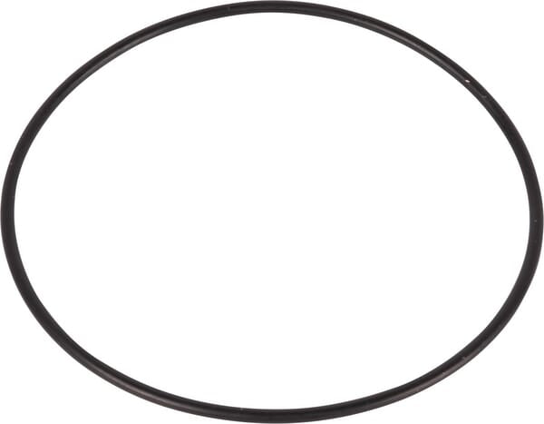 New Holland / Case O-RING - 2 STÜCK 87421149 original CNH Ersatzteil