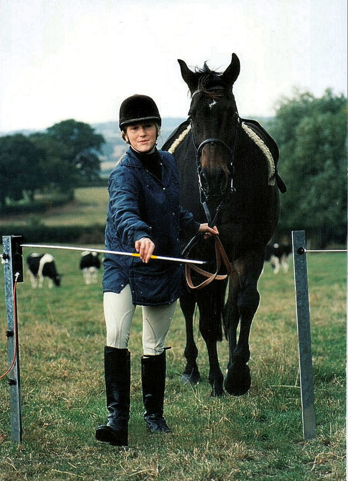 Kerbl Mini-Elektroschranke 1,2 m Komplett Set 44283