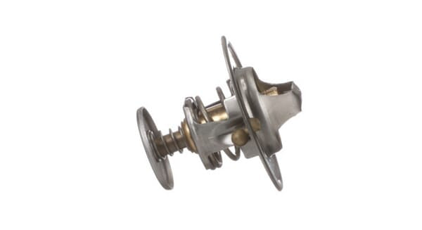 FPT Industrial Thermostat - 1 Stück - 87803664FPT