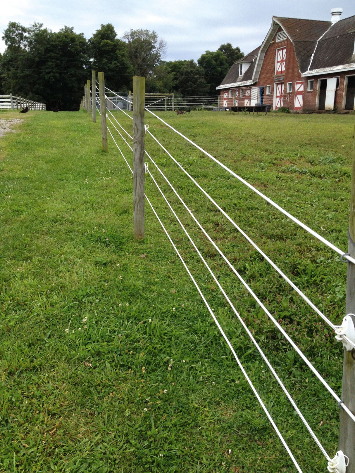 AKO Premium Horsewire 250m, 8mm 44873