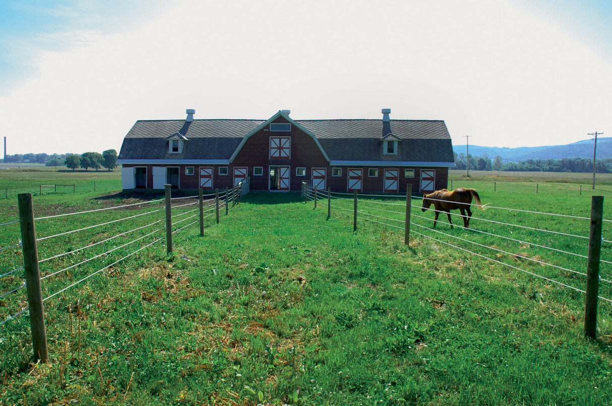 AKO TopLine Horsewire 200m, 6mm, weiß 1 Stück 442390