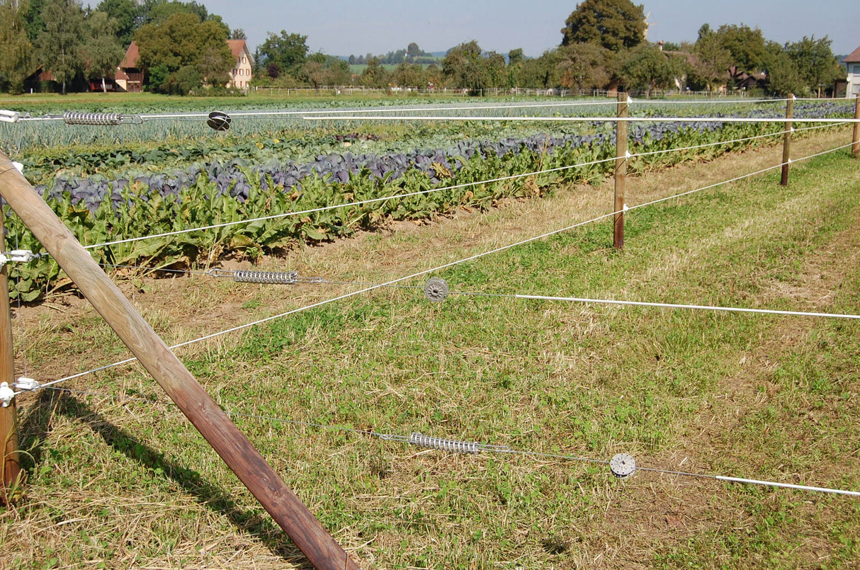 AKO Premium Horsewire 250m, 8mm 44873