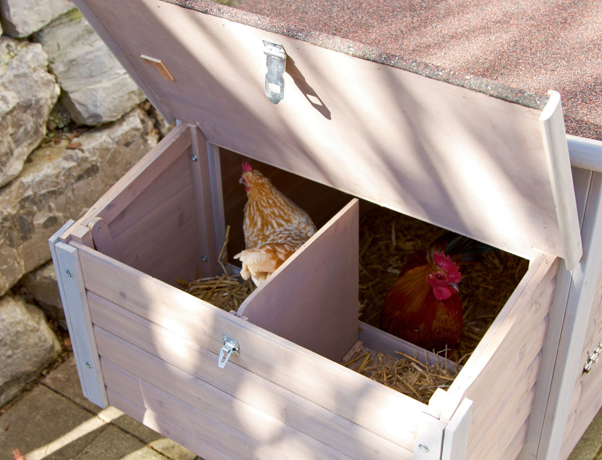 Kerbl Hühnerstall Emma 146x74x85cm 81702