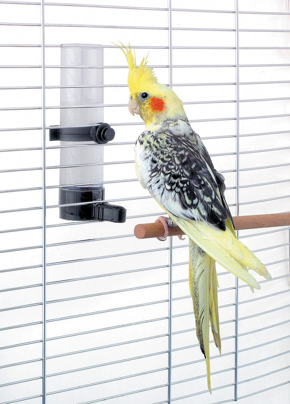 Kerbl Artikel 83144 im Online Shop kaufen