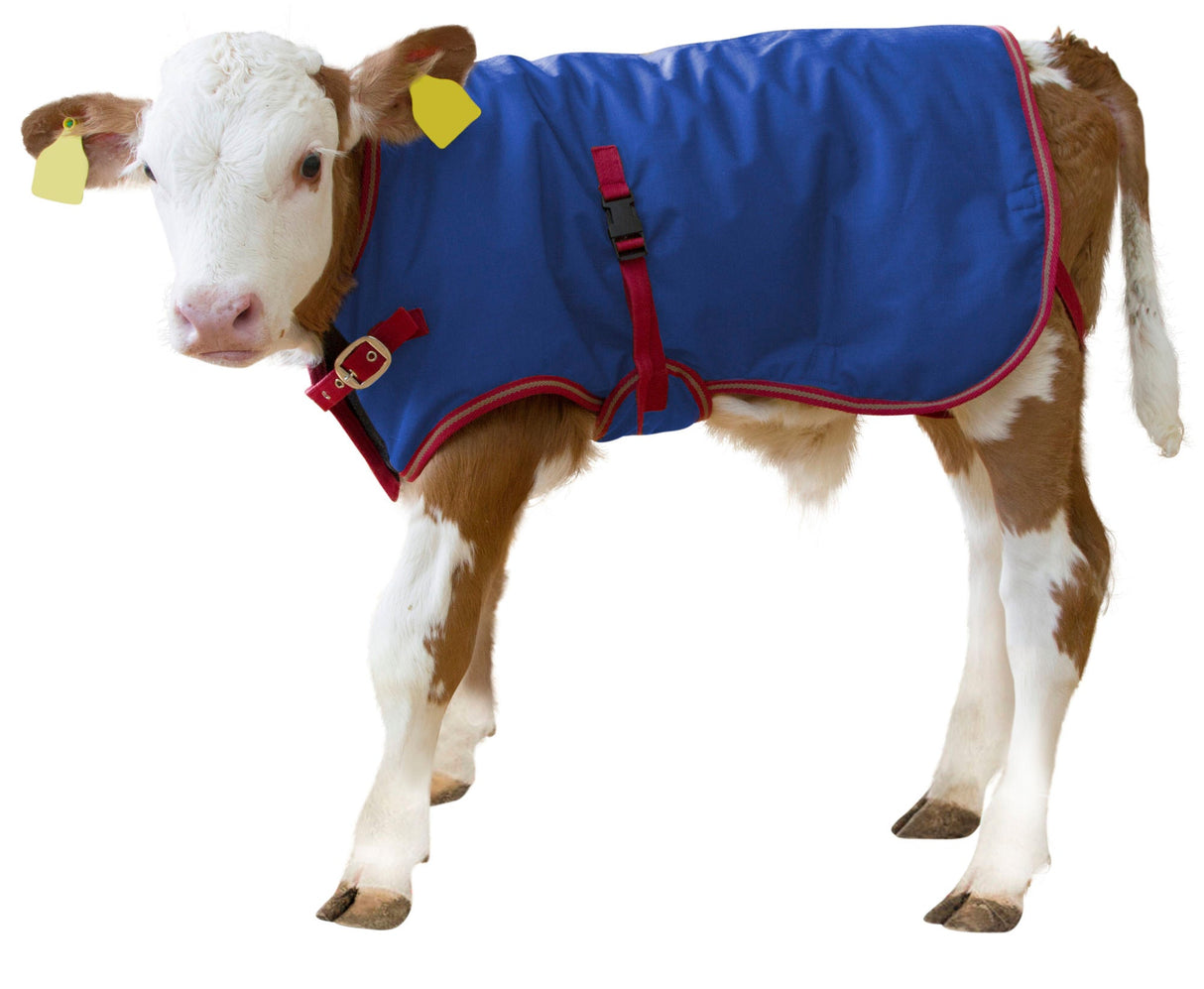 Kerbl Kälberdecke ThermoPlus, 70cm 14148