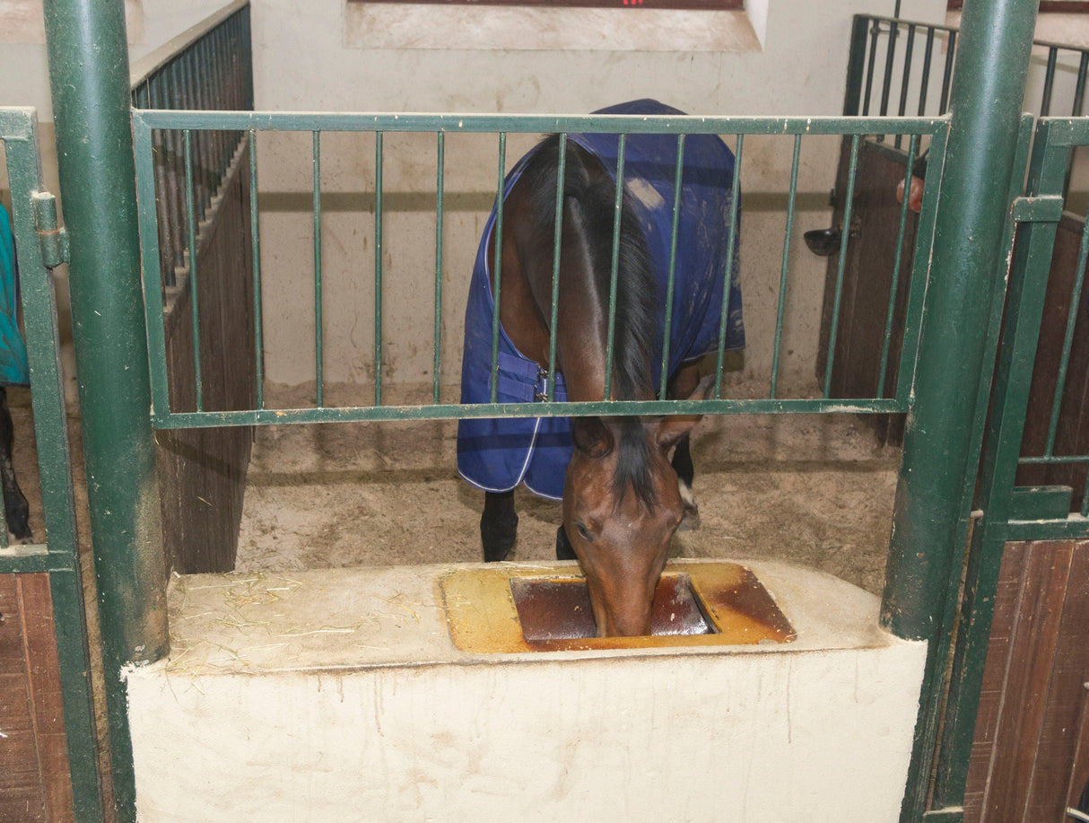 Kerbl IPCam 2.0/HD 10810