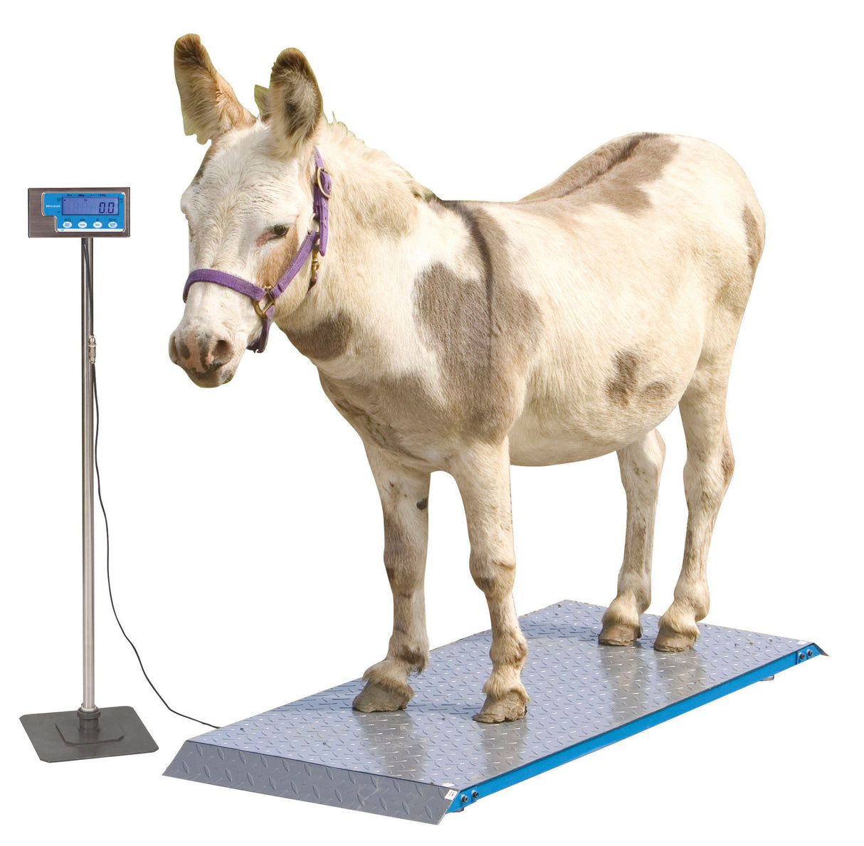 Kerbl Tierwaage PS1000 bis 500kg 291310