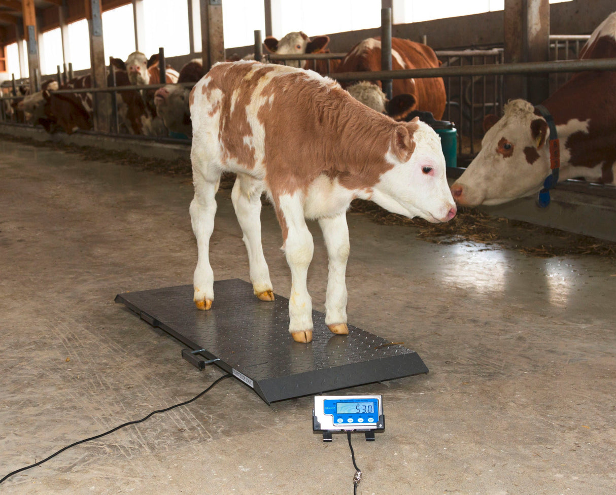 Kerbl Tierwaage PS1000 bis 500kg 291310