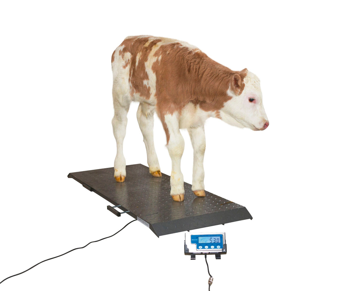 Kerbl Tierwaage PS1000 bis 500kg 291310