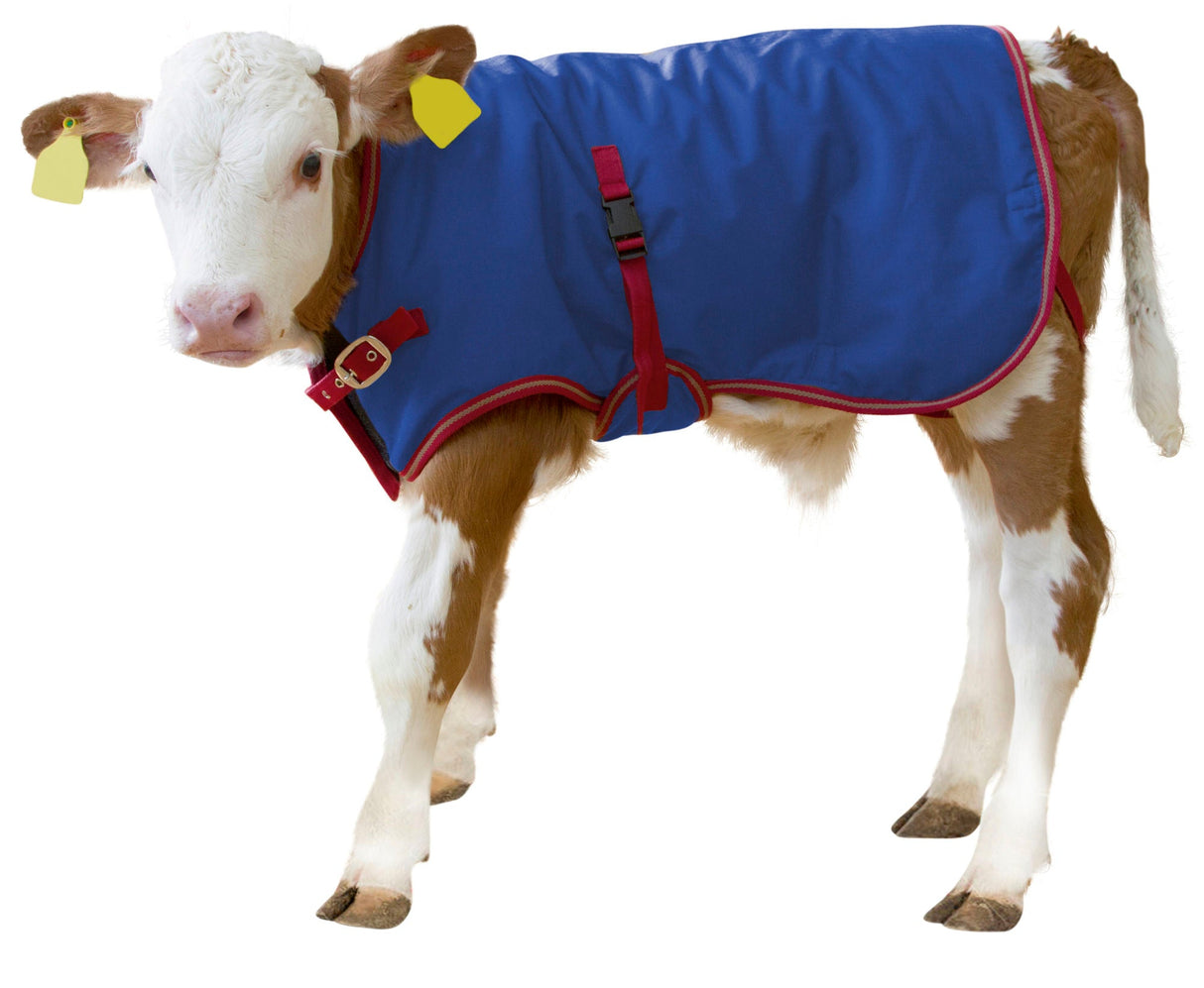 Kerbl Kälberdecke ThermoPlus, 70cm 14148