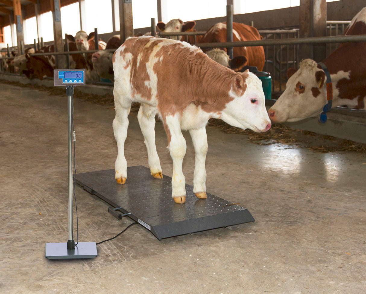Kerbl Tierwaage PS1000 bis 500kg 291310