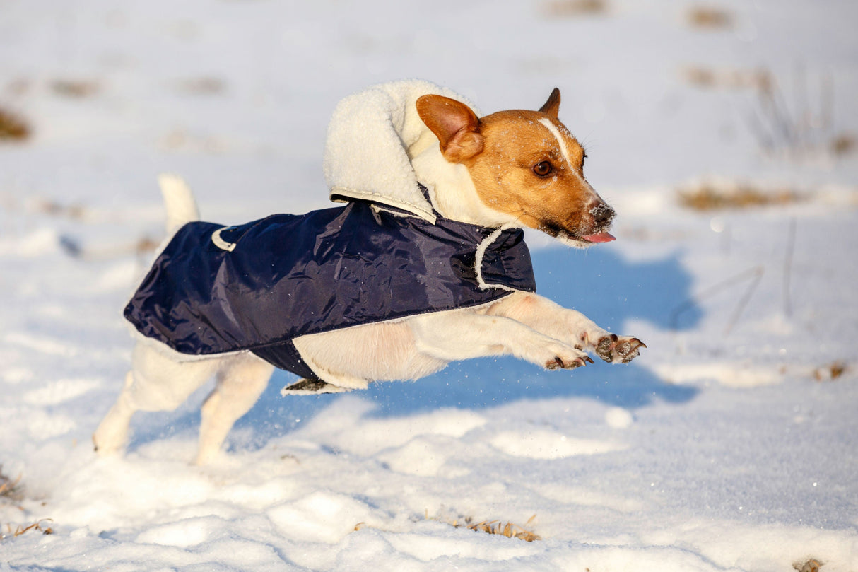 Kerbl Artikel 84930 im Online Shop kaufen