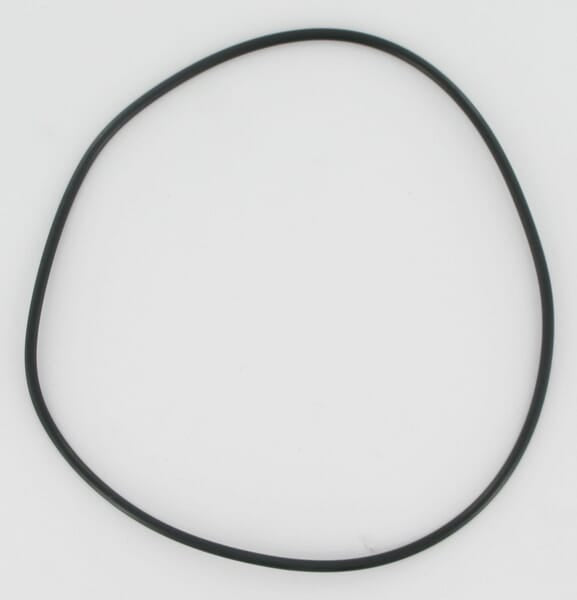 ALAMO GROUP O-Ring Herder 93504353