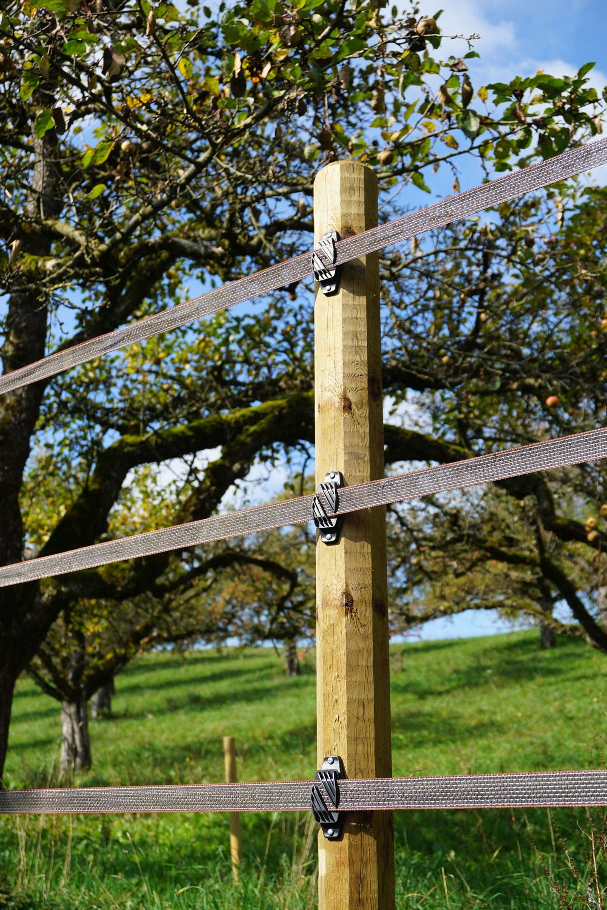 Kerbl Octo Wood Streckenpfahl 80 x 2.250 mm 441824