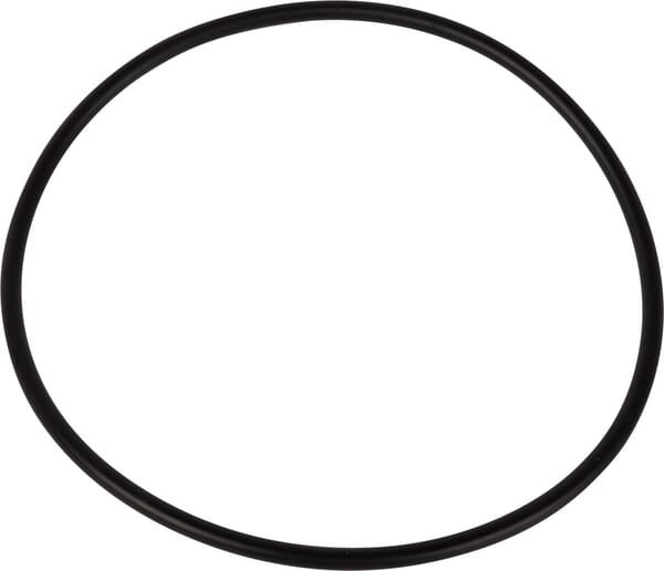 New Holland / Case O-RING - 2 STÜCK 9635695 original CNH Ersatzteil