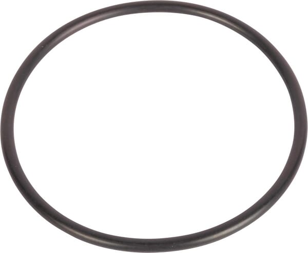 New Holland / Case O-RING - 2 STÜCK 9846875 original CNH Ersatzteil