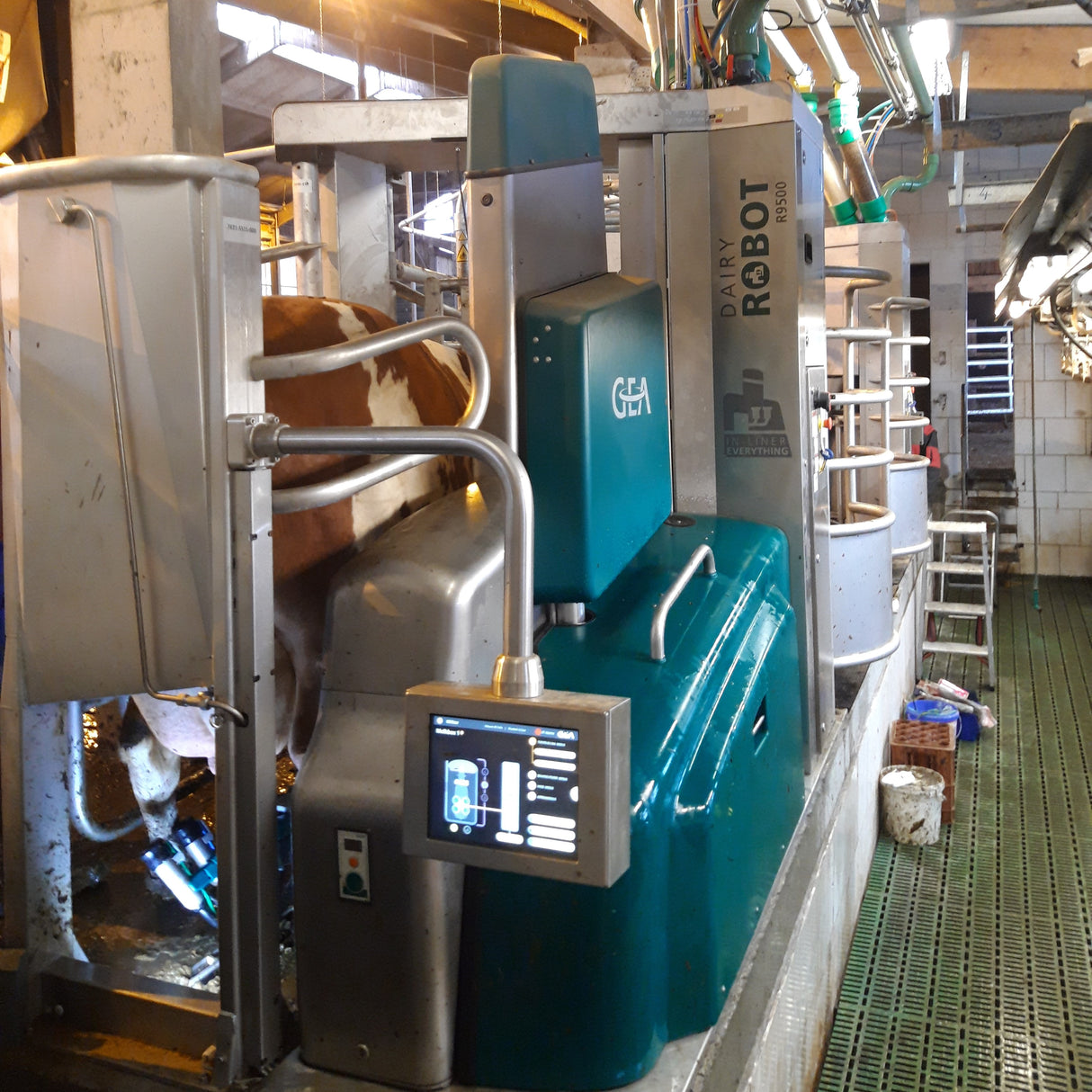 GEA DairyRobot R9500 Melkroboter