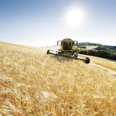 New Holland CX5.90 Mähdrescher