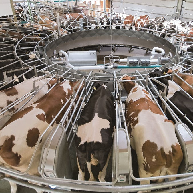 Outdoor milker AutoRotor PerFormer Plus