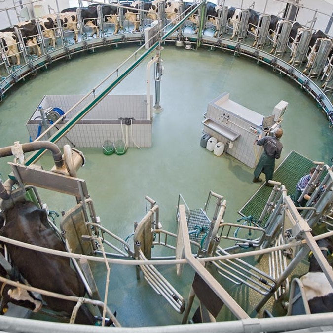 Indoor milker AutoRotor Magnum 40