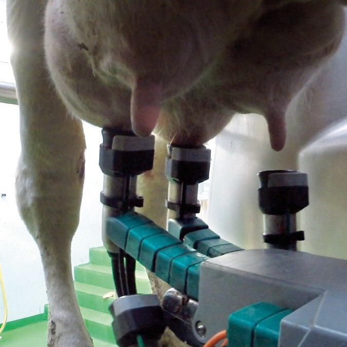 DairyProQ automatic milking parlor