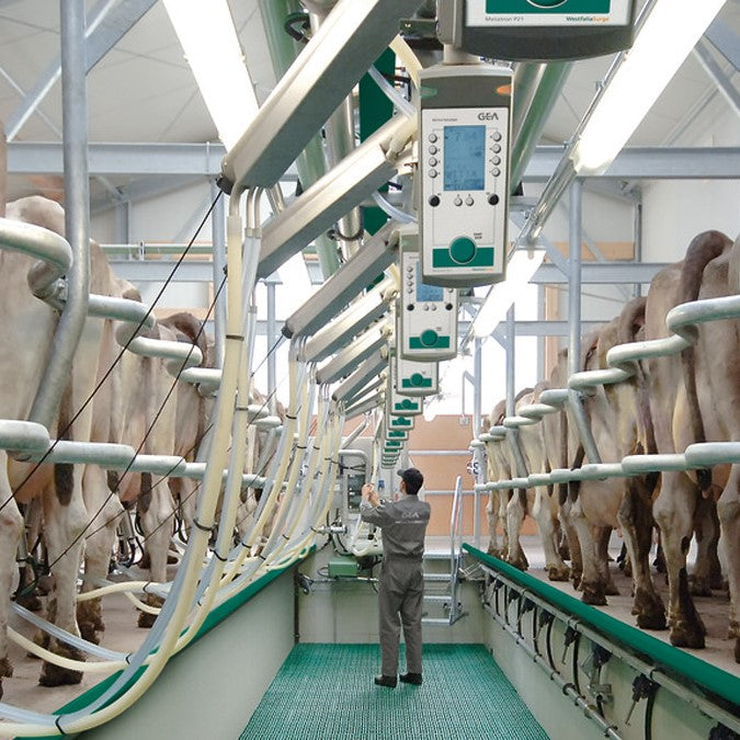 Swing-over herringbone milking parlor EuroClass 800