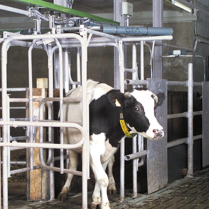 Animal sorting with AutoSelect