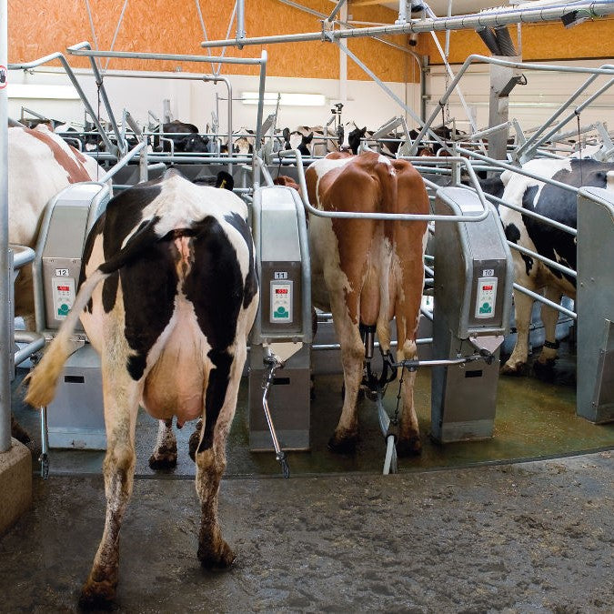 Outdoor milker AutoRotor PerFormer Plus