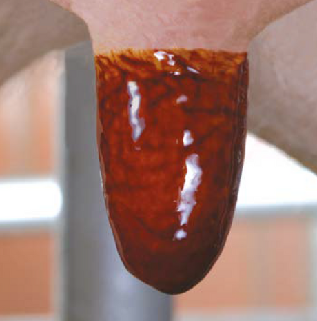 GEA LuxDip 50 Lite jodhaltiges Zitzendippmittel 200 kg 7724-5525-000 (77245525000)