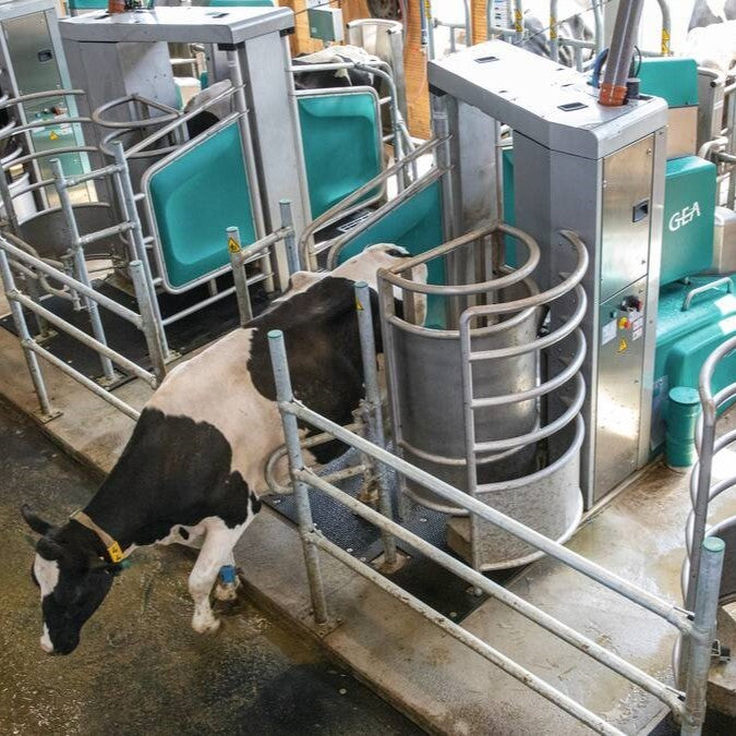GEA DairyRobot R9600