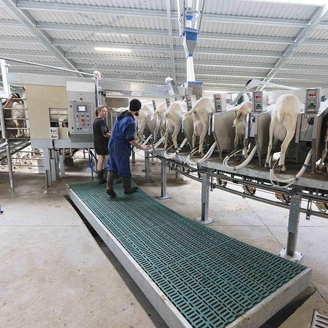 GEA Außenmelkerkarussell für Ziegen