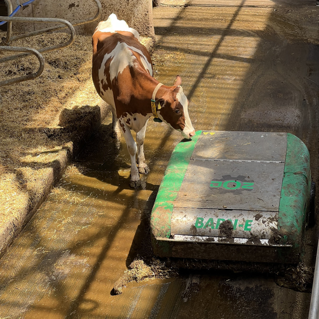 JOZ Barn-E Entmistungsroboter für geschlossene Böden (Spaltenroboter)