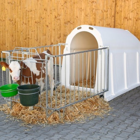 Calf igloo and boxes