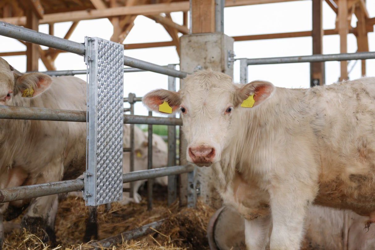 Kerbl Kratzblech für Rindermast 90cm x 30 cm - 293150