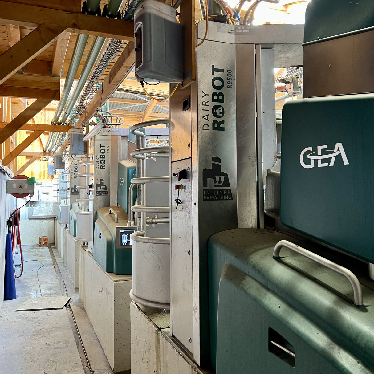 GEA DairyRobot R9500 Melkroboter