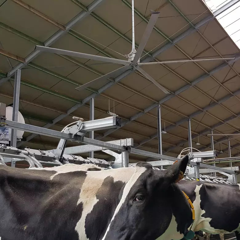 Royal de Boer HVLS Ventilator