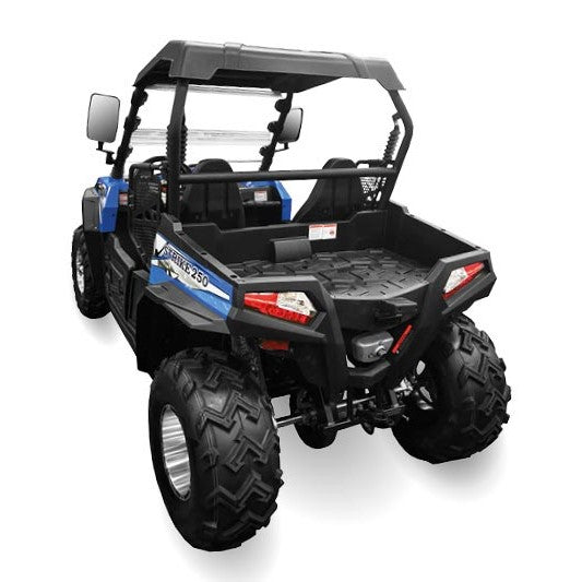 HiSUN STRIKE 250 Quad