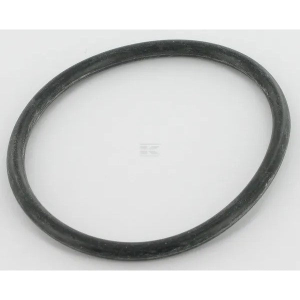 AGCO Fendt Dichtung für Tankgeber X810150020010