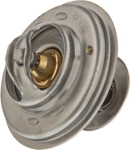 AGCO Thermostat ACW2170430