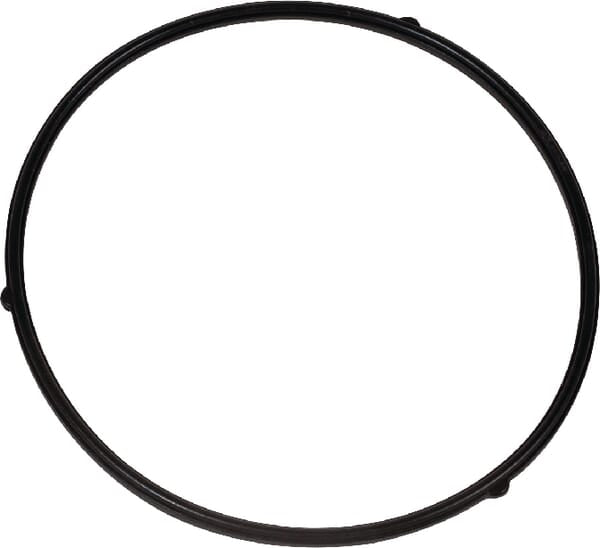 AL-KO Dichtung AK411906