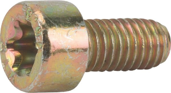 Alpina Schraube TX M5x10 ALP2135020