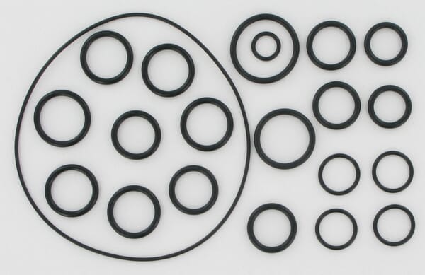 AR O-Ring-Satz für AR202 / 252 AR2409