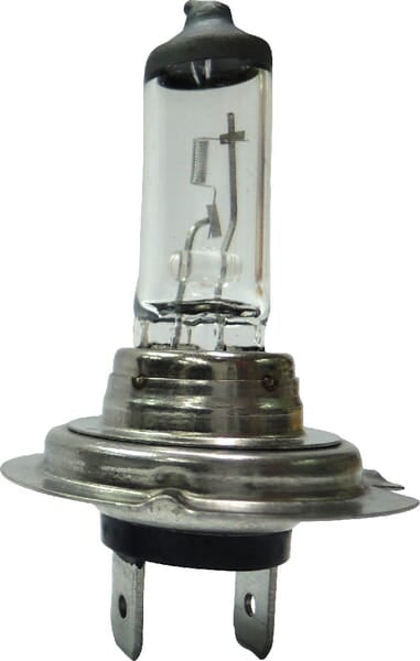 KRAMP Glühlampe 24V 70W PX26D H7 B2423
