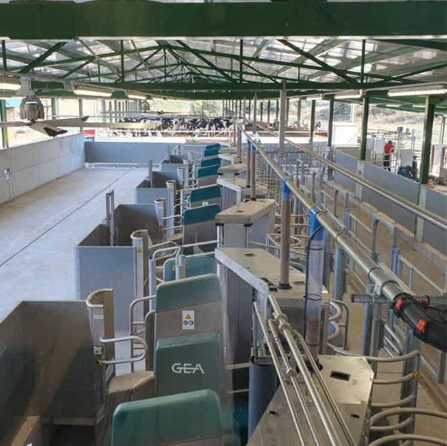 GEA DairyRobot R9600