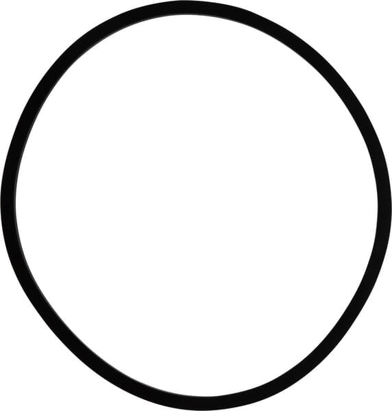 New Holland / Case DICHTUNG - 2 STÜCK C0NN7A548A original CNH Ersatzteil