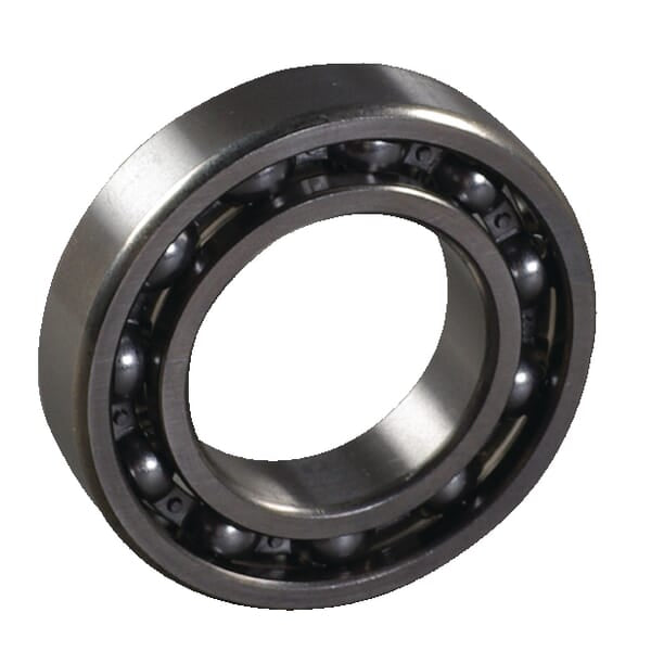 AS-Motor Lager 6007-C3 E03101ASM