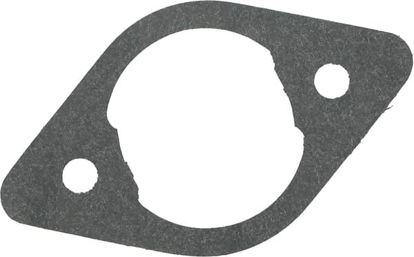 Etesia Einlassdichtung ET18132