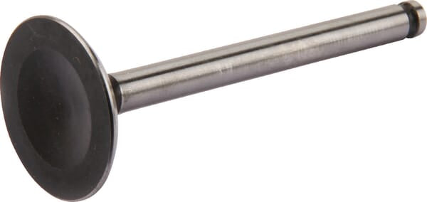 Etesia Einlassventil ET18133