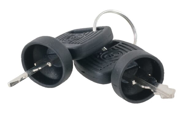 Key set (2 pieces)